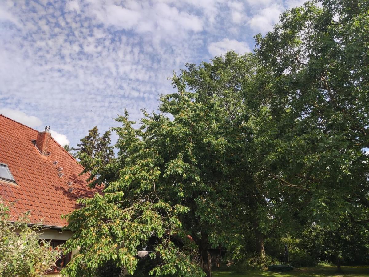 Five Oaks - Rote Wohnung Hohenkirchen  Экстерьер фото